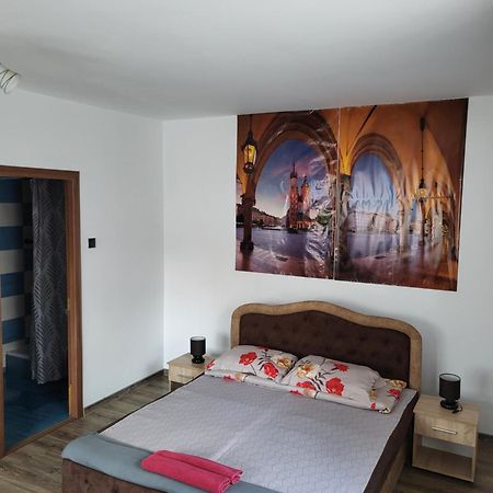 Casa Raraului Villa Câmpulung Moldovenesc Eksteriør bilde